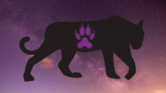 Chadwick Boseman and the Power of Black Superheroes